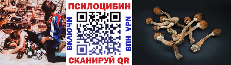 Псилоцибиновые грибы ЛСД  как найти   Клинцы 