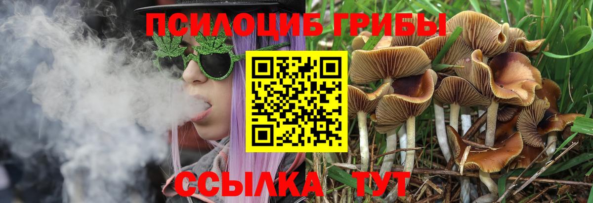 Галлюциногенные грибы ЛСД Клинцы