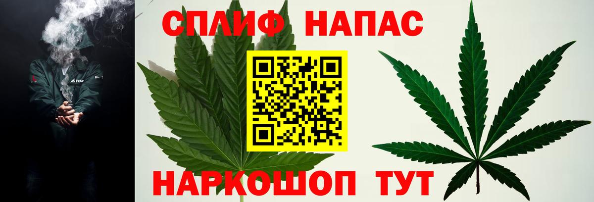 Шишки марихуана конопля Клинцы